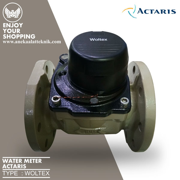 Actaris water meter
